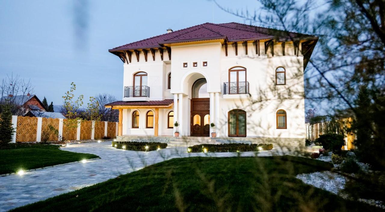 Conacul Olarilor Bed & Breakfast Baia de Fier Exterior photo
